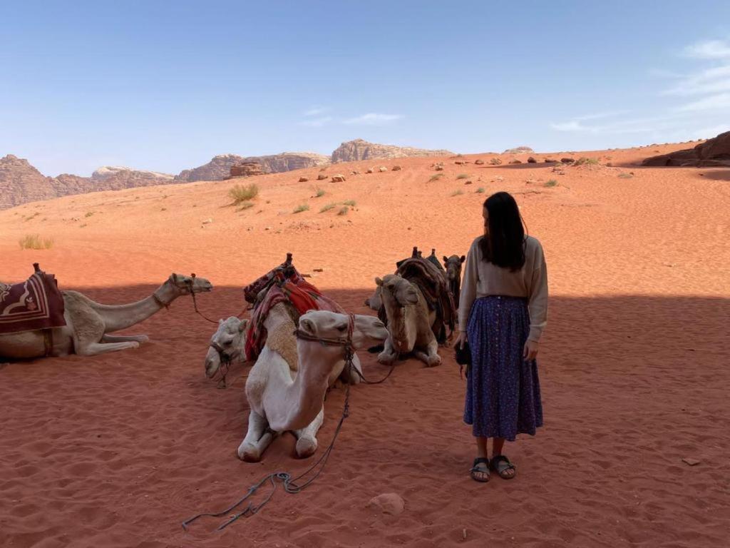 Mojo Camp, Wadi Rum Buitenkant foto
