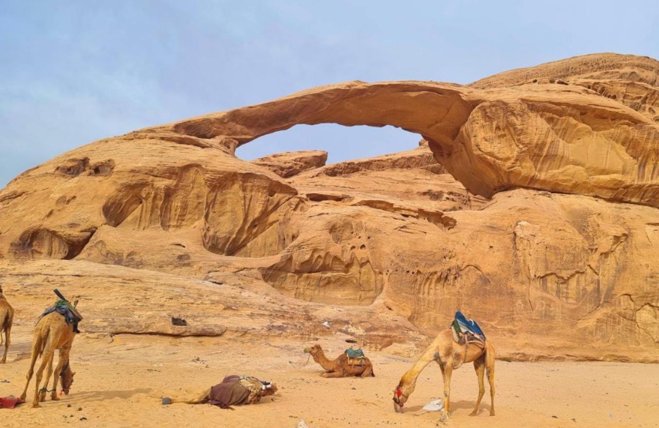 Mojo Camp, Wadi Rum Buitenkant foto