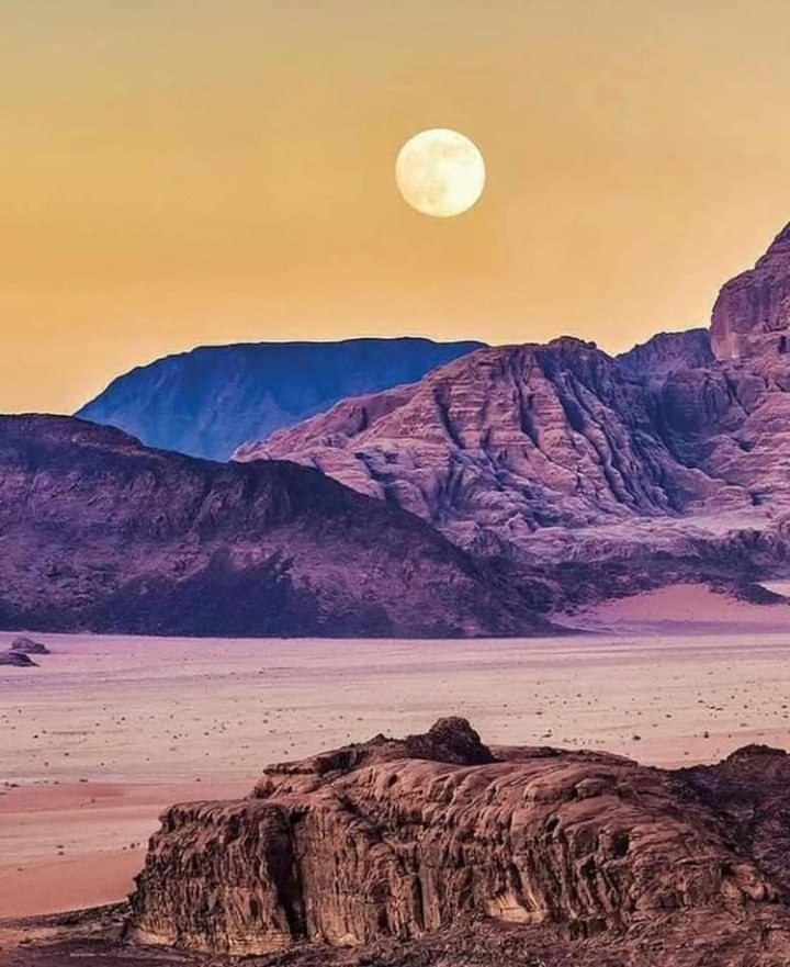 Mojo Camp, Wadi Rum Buitenkant foto