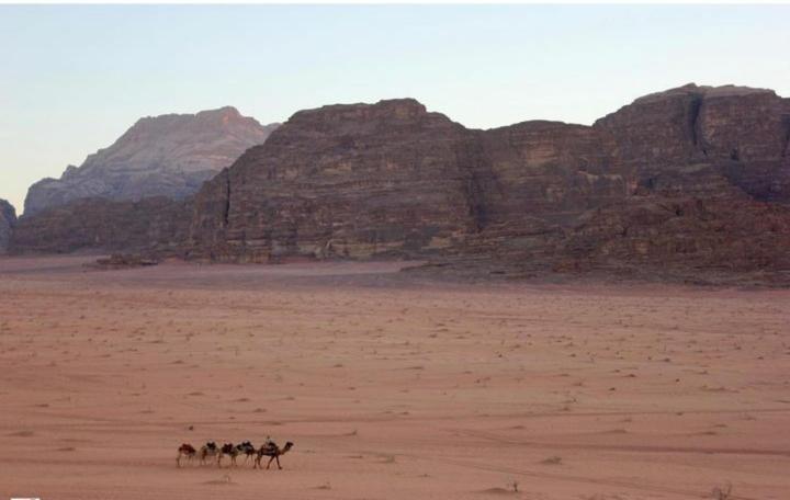 Mojo Camp, Wadi Rum Buitenkant foto