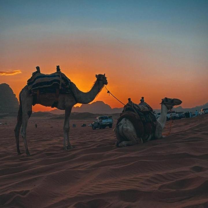 Mojo Camp, Wadi Rum Buitenkant foto